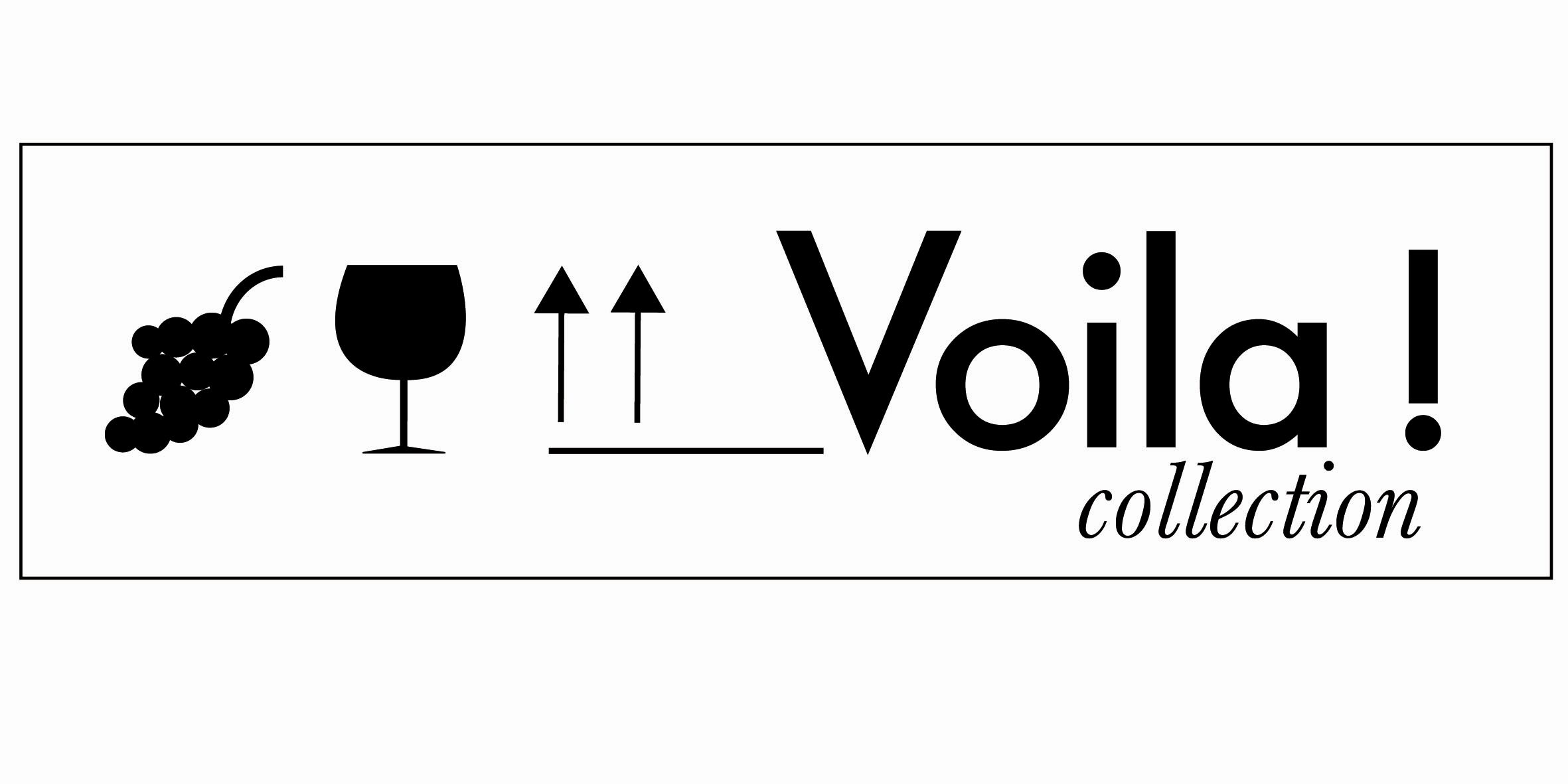 copy of voila logo